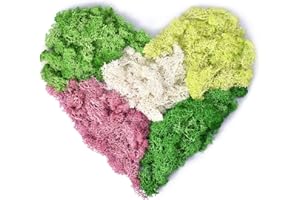 TAIKUU 久の物 Preserved Reindeer Moss for Plants Indoor, Artificial Grass for Crafts, Artistic Easter Table Moss Decor, Not Fake Faux Moss for Terrariums, Natural Floral Moss for Potted