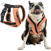 Gooby Comfort X One Dog Harness, Choke-Free, Atlanta Peach, XX-Small | Escape-free contracting fit; Choke-free deep V-neck; Snap &amp; swivel buckles; Shock-absorbing; Breathable mesh