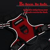rabbitgoo Small Dog Harness No Pull Reflective Front Back Leash Clips Red XS view 8