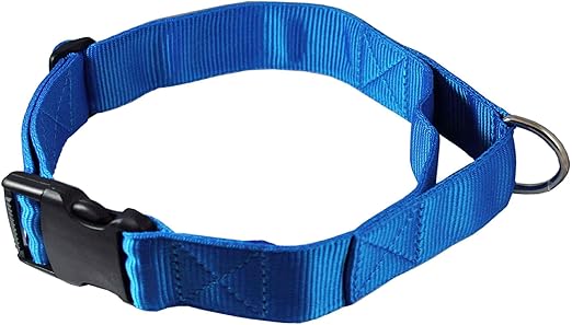 large dog collar with handle