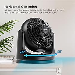 IRIS USA WOOZOO Desk Fan, Oscillating Table Air