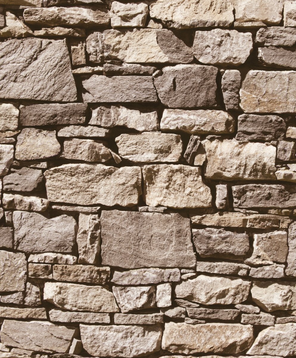 Ugepa J49407 Inhibitor Beige