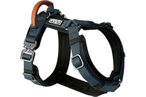 MADE TO ROAM Premium Explorer Harness - Y-Shaped Dog Harness with Adjustable Durable Nylon, Soft Padding, Metal Buckles and Leather Handle for Small, Medium, Large Dogs (Colorado Nightsky, Size 4)
