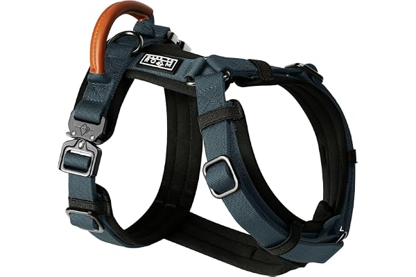 MADE TO ROAM Premium Explorer Harness - Y-Shaped Dog Harness with Adjustable Durable Nylon, Soft Padding, Metal Buckles and L