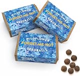 Seedball Forget-Me-Not Wildflower Seeds 3x Seed Boxes Bee Friendly view 1