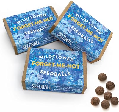 Seedball Forget-Me-Not Wildflower Seeds 3x Seed Boxes Bee Friendly