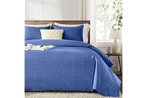 inron Quilt Set Queen Size, Denim Blue Queen Size Quilted Bedspread, Floral Pattern Microfiber Breathable Coverlet, Lightweight Thin Bedding Set for All Season (1 Quilt, 2 Pillow Shams)