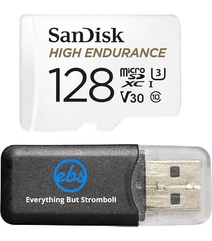 Amazon.com: SanDisk MAX Endurance 128GB MicroSD Card (2 Pack) for
