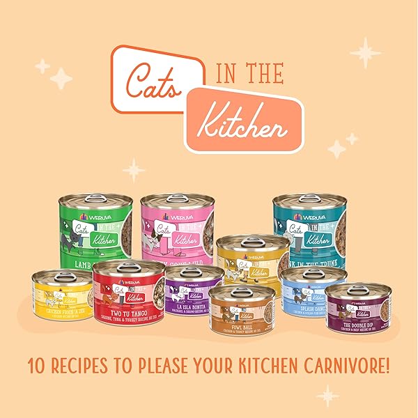 WERUVA CATS IN THE KITCHEN, PANTRY PARTY POUCH VARIETY PACK IN GRAVY CAT FOOD, 3OZ POUCH (PACK OF 12)