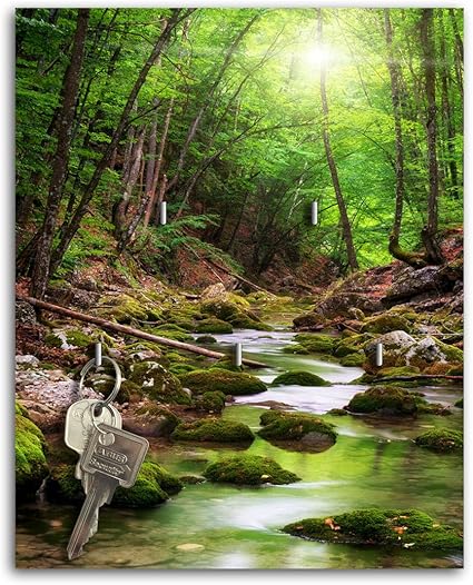 Dalinda Keyring Forest Ruhe Key Card Key Hook Sb460 Amazon Co Uk Kitchen Home Dalinda Keyring Forest Ruhe Key Card Key Hook Sb460 Amazon Co Uk Kitchen Home