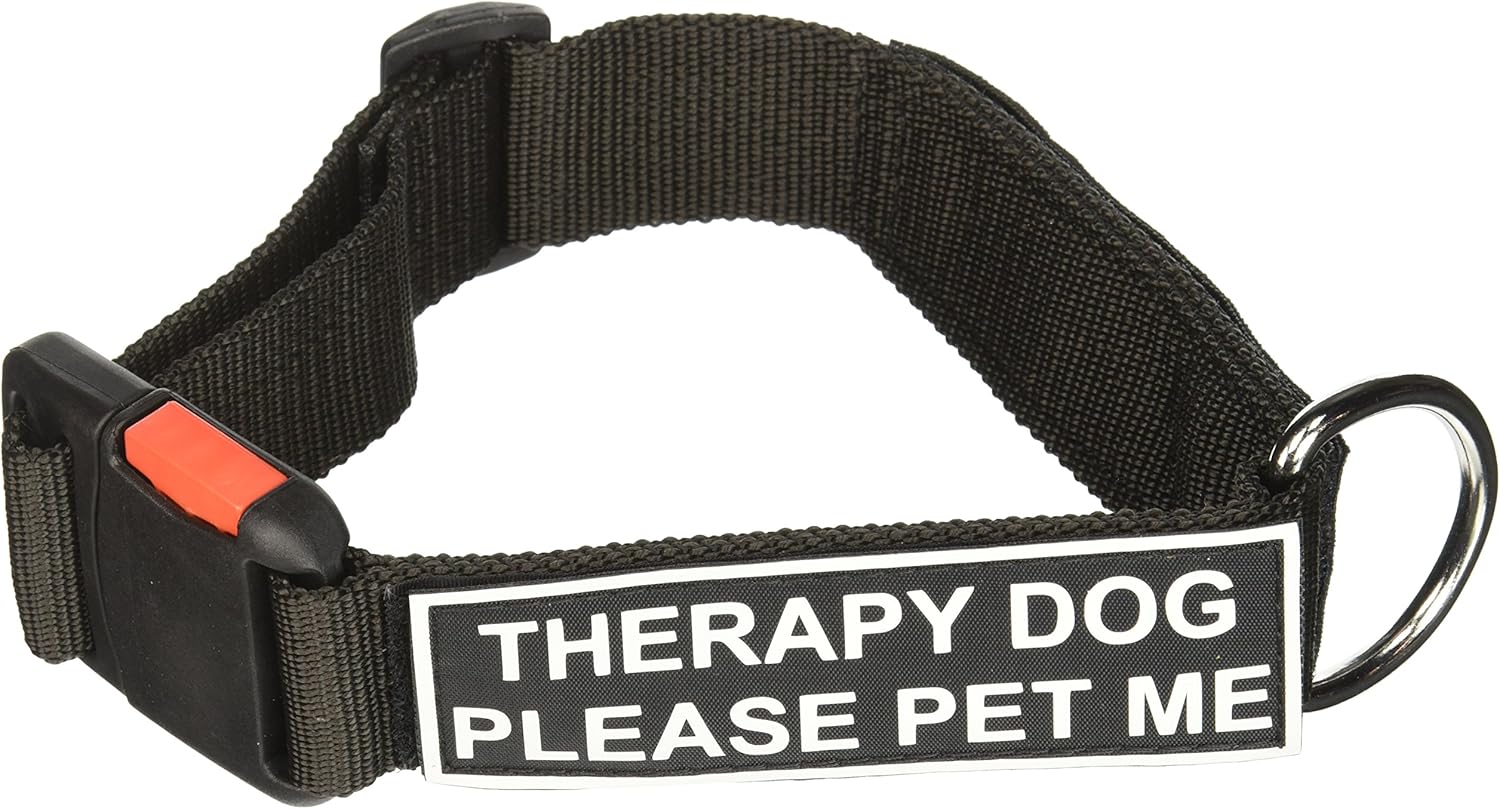 pet electric blanket