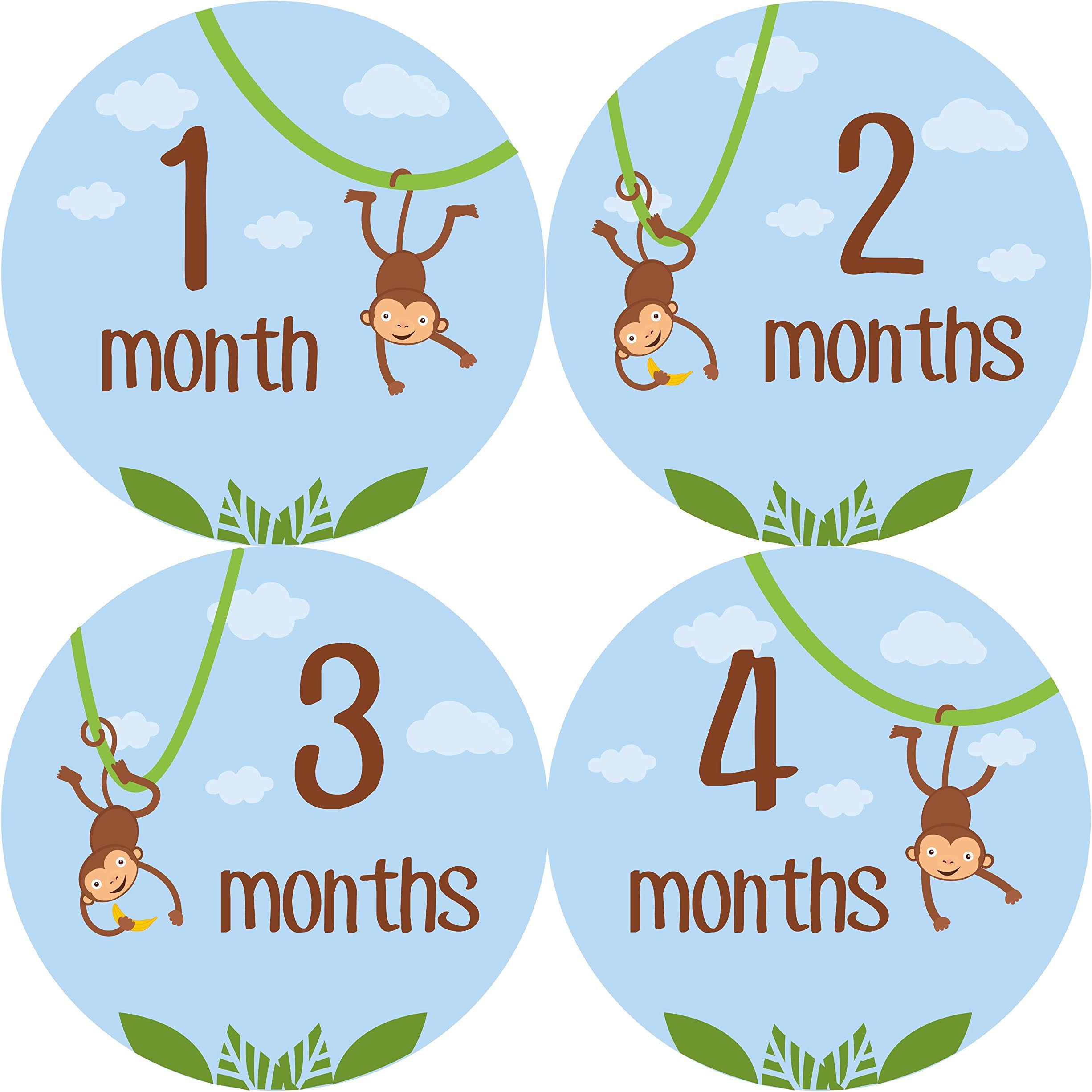 Monthly Baby Stickers