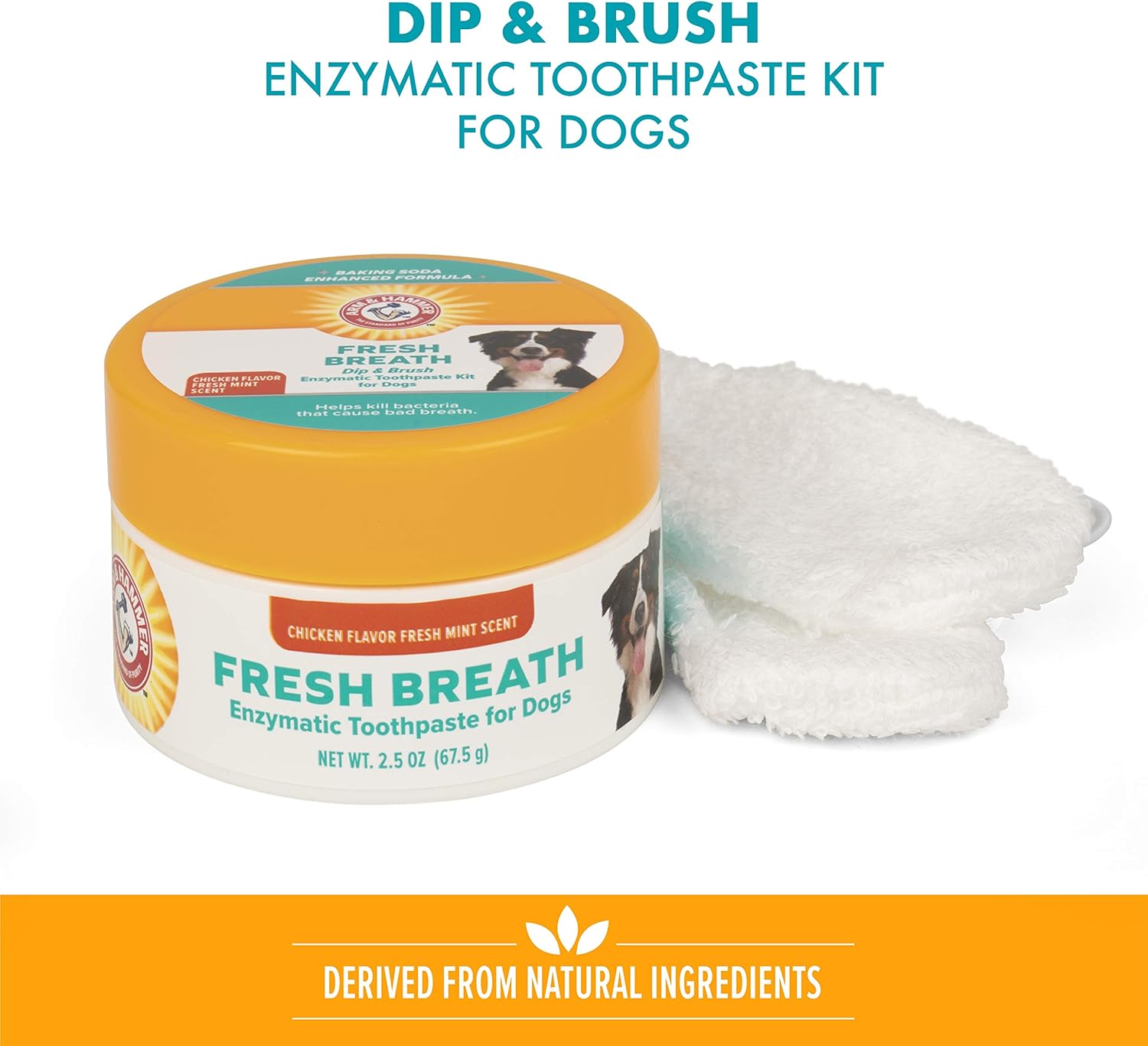 Arm & Hammer Dip & Brush Fresh Breath Enzymatic Toothpaste Kit for Dogs, 2.5 Ounces, Chicken