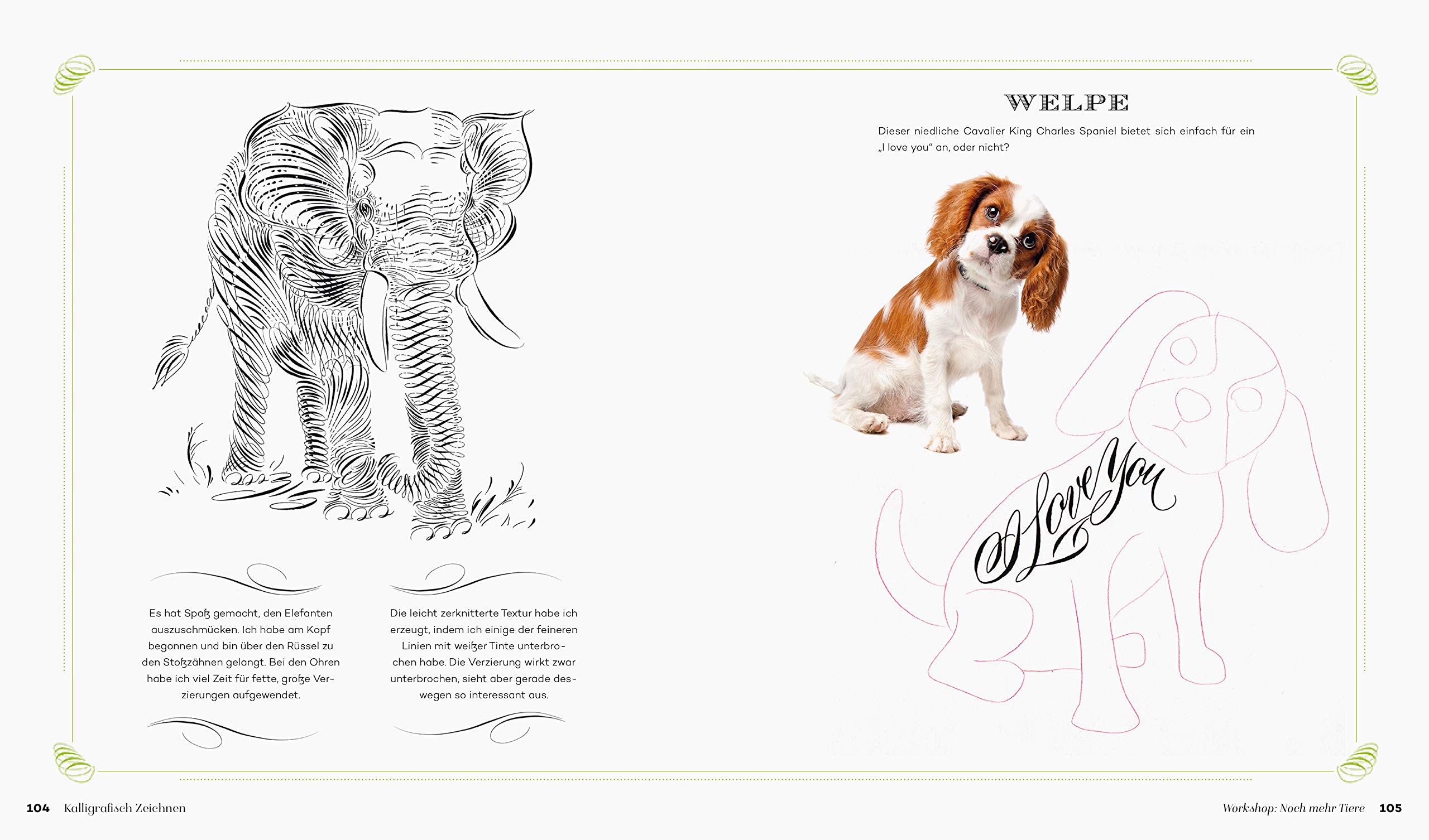 Kalligrafisch Zeichnen Inspirationen Und Schritt Fur Schritt Anleitungen Fur Schwungvolle Motive Loong Schin 9783830714521 Amazon Com Books