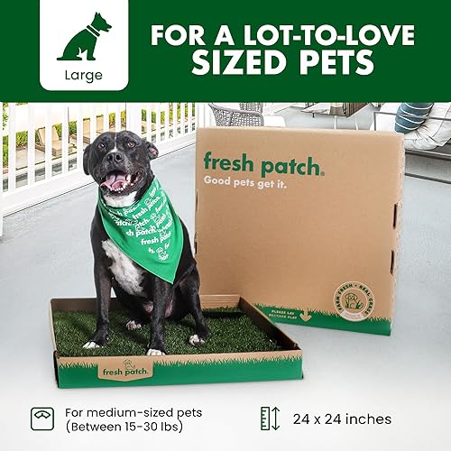 Fresh Patch Real Grass Patch for Dogs, Cats, and Large Pets 15-30