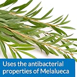 API Pond Melafix Pond Fish Bacterial Infection Remedy 473 ml view 4