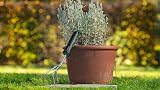 Bosch Garden Hand Tool Grubber - Hand Cultivator for Loosening Soil view 2