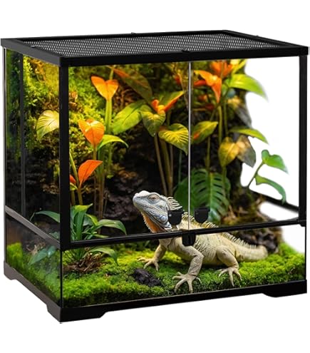 18x18x24 Inch Terrarium Exo Terra Glass Terrarium U2013 All