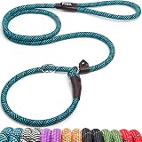 Fida Slip Lead for Dogs 1.8m Reflective Rope Leash Blue