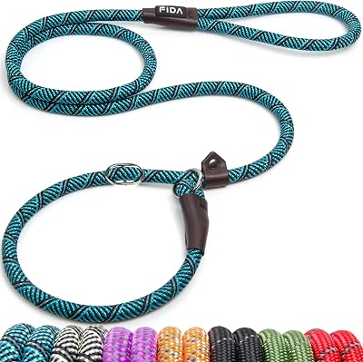Fida Slip Lead for Dogs 1.8m Reflective Rope Leash Blue