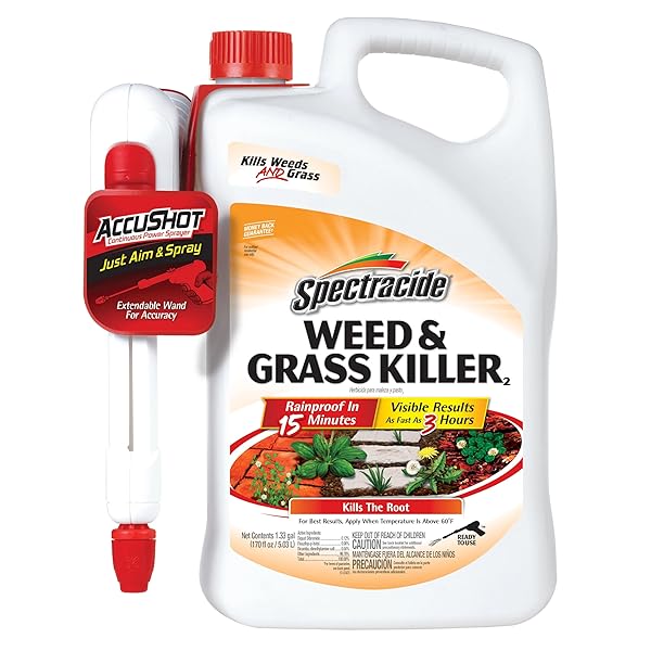 1 GAL READY-TO-USE GRASS AND WEED KILLER