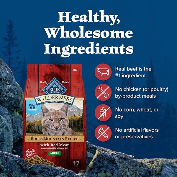 BLUE BUFFALO WILDERNESS ADULT DRY CAT FOOD, ROCKY MOUNTAIN RECIPE, CHICKEN-FREE & GRAIN-FREE RECIPE MADE WITH NATURAL INGREDIENTS, RED MEAT, 4-LB BAG