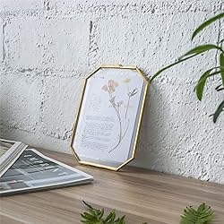 NCYP Small 5 x 7 inch Floating Glass Frame with
