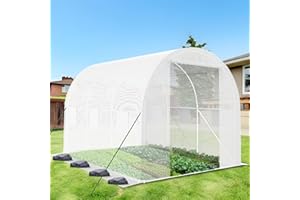 BTDWI 9.8*6.5*6.5FT Heavy Duty Greenhouse for Outdoors, Large Walk-in Green House with High Tunnel PE Cover & Irrigation Garden Sprinkler System for Winter, White