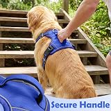 Funfox Dog Harness Small No Pull With Front Back Clip Reflective Strips Blue S view 5