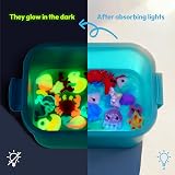 Klever Kits Magic Water Elf Craft Kit Glow in the Dark Kids Toys view 4