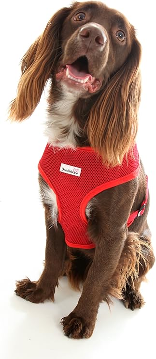 igloo for large dogs