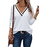 SweatyRocks Women's Casual Loose Fit V Neck Long Sleeve Tee Shirts Hollow Out Lace Embroidered Tops