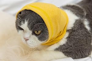 DDFS Cat Hematoma Ear Wrap,Pet Soothing Hoodie for Dogs&Cats-Anxiety & Stress Relief - Dog Ear Wrap for Surgery Recovery Yellow M
