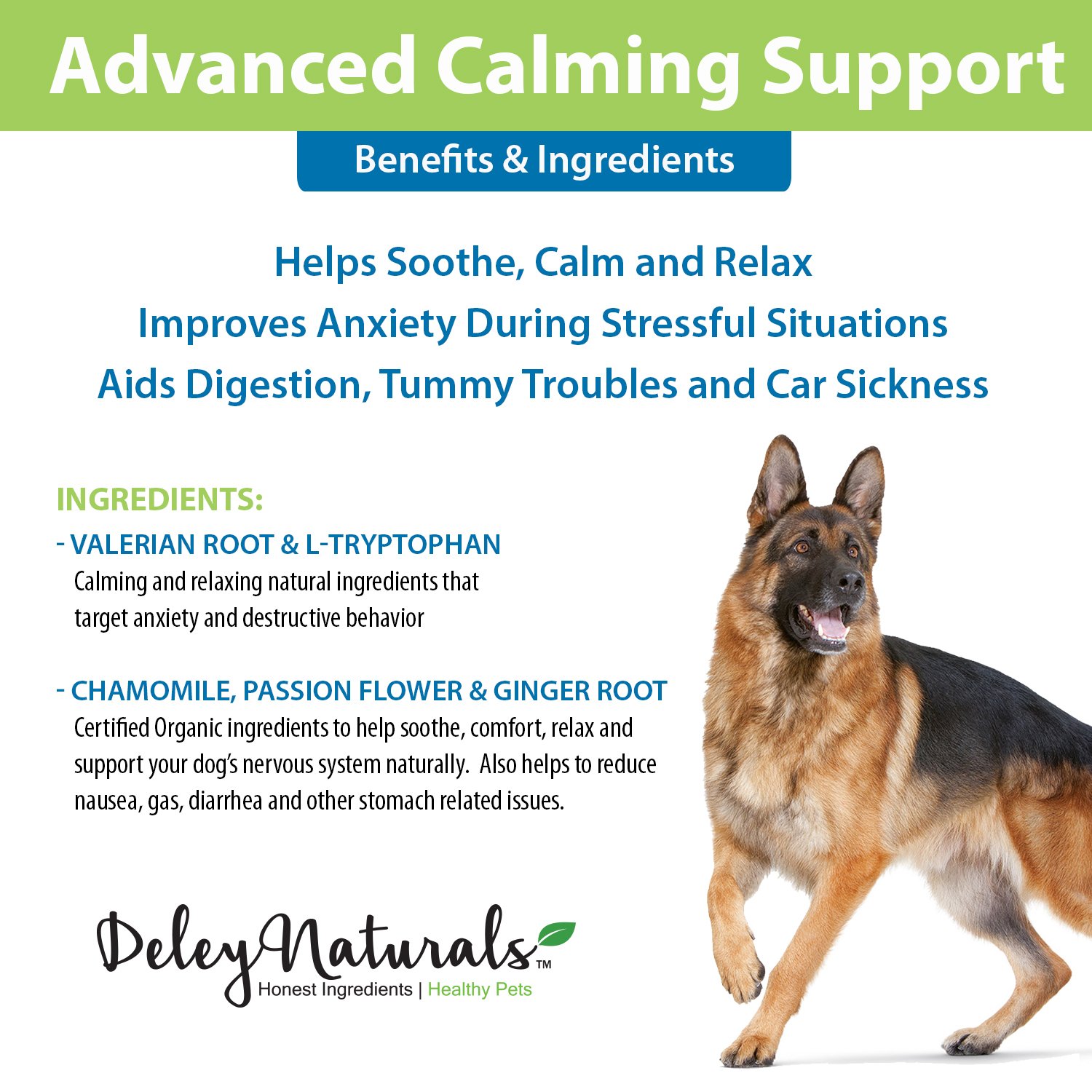 Amazon.com : Natural Calming Treats for Dogs. Great for Travel ...