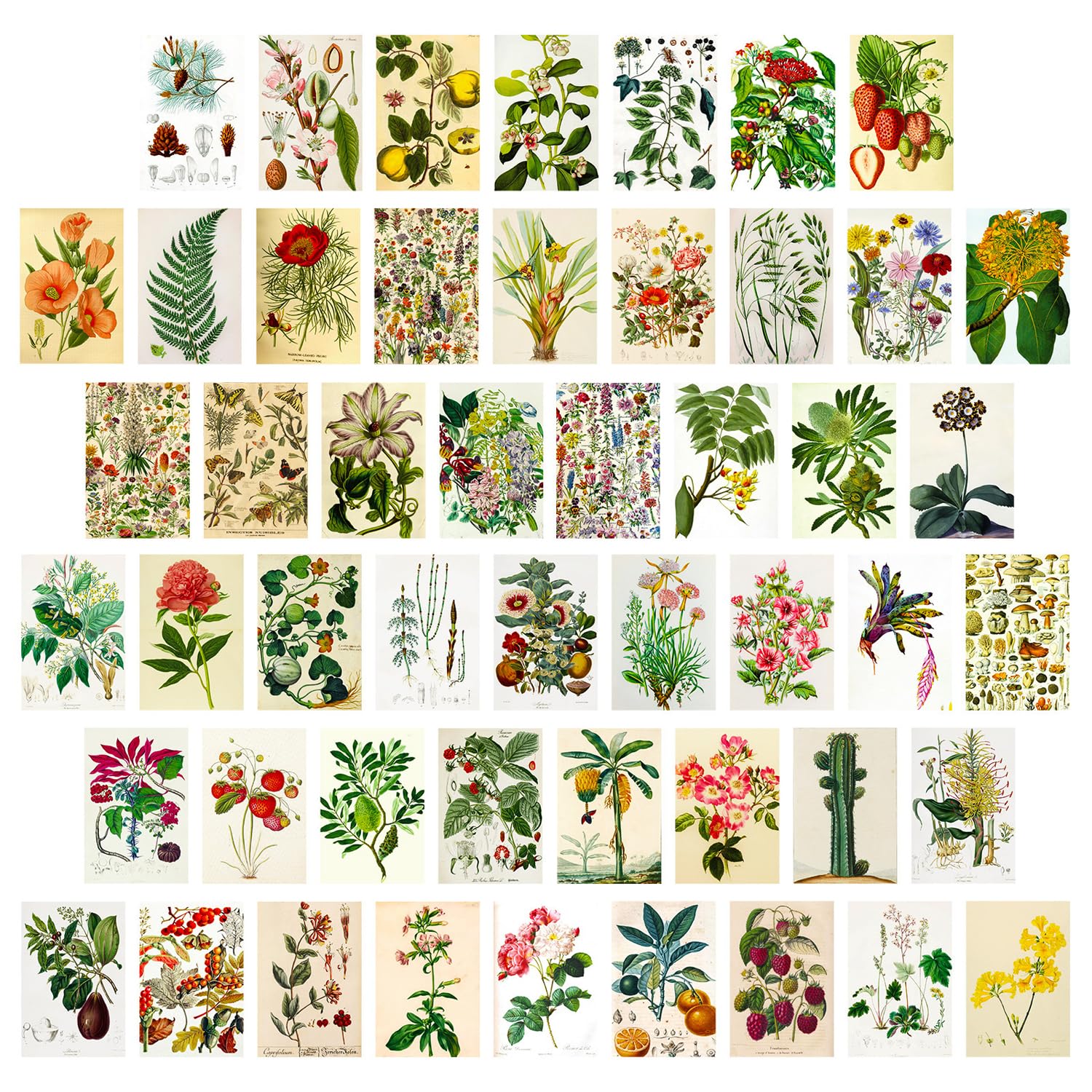 50 PCS Art Decorative Landscape Postcards, Vintage Postcards Home Decoration Postcards, Botanical Postcards Wall Decor Posters for Bedroom, Scrapbook Decoration Cards, Blessing Greeting Cards