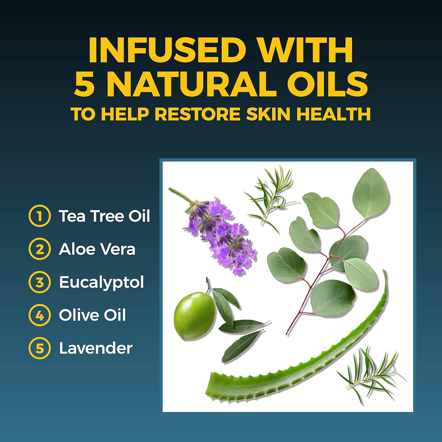 Fungi-Nail, Anti-Fungal Solution, 1 Ounce: Health & Personal Care