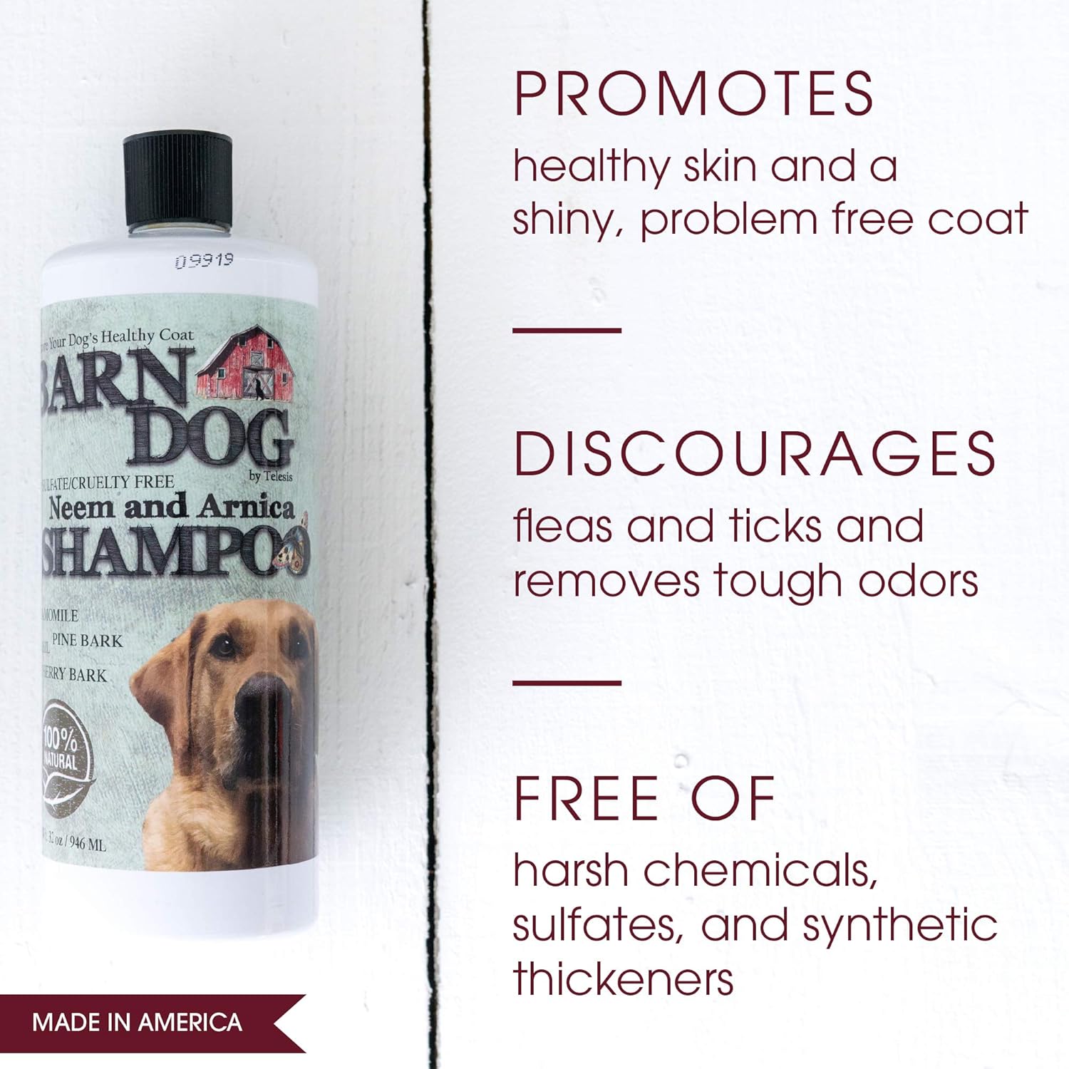 barn dog shampoo