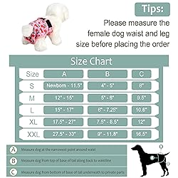 Female Dog Diapers - Premium Reusable Diapers for