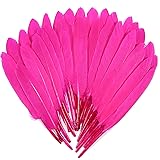 FeelfunFeather 120pcs Hot Pink Goose Cochettes