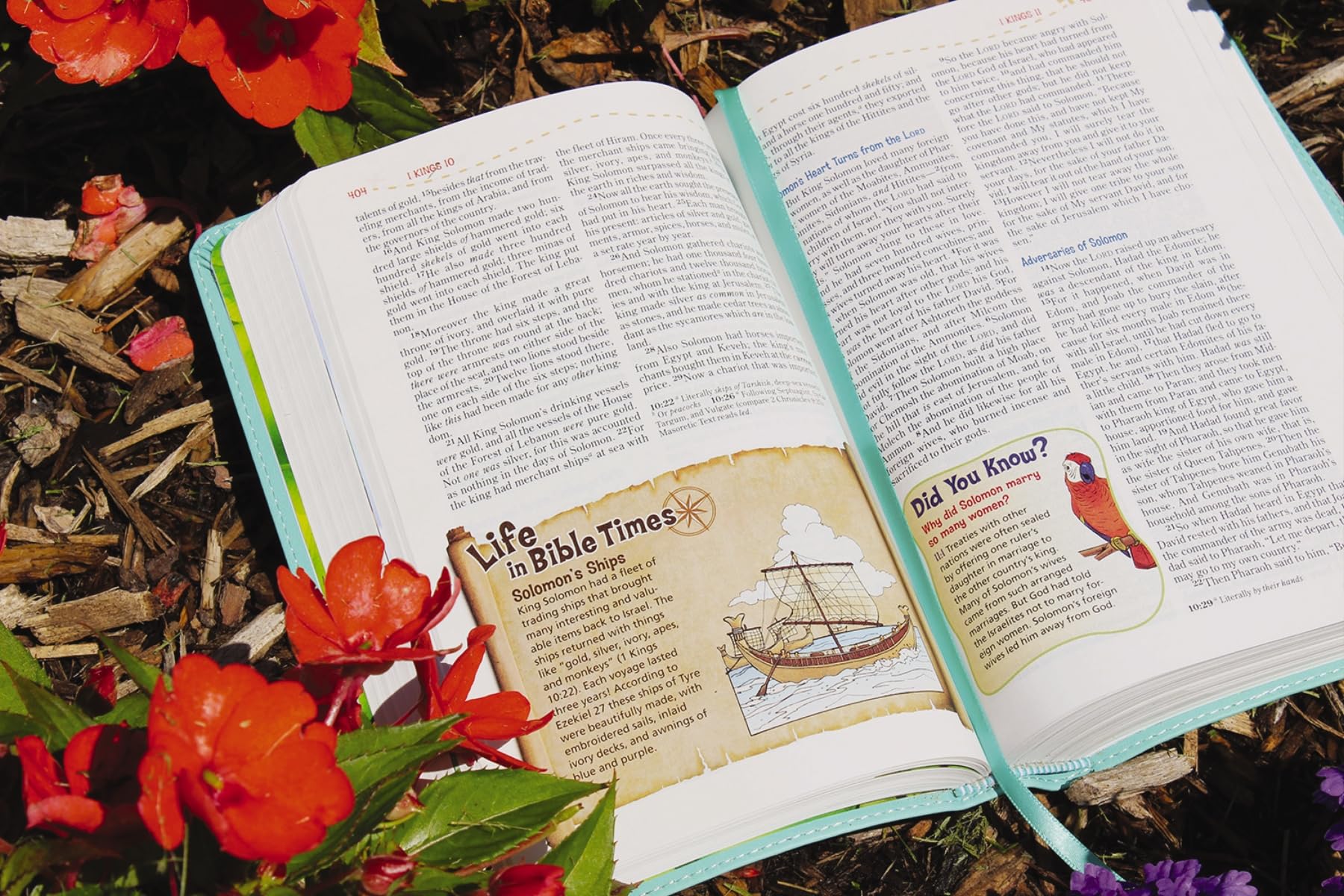 NKJV, Adventure Bible, Leathersoft, Teal, Full Color NKJV, Adventure Bible, Leathersoft, Teal, Full Color Imitation Leather