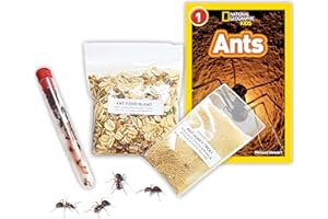 NATURE GIFT STORE 1 Tube of Live Ants Plus Ant Food, Honey Treat, & Book, Ant Habitat Kit Refill
