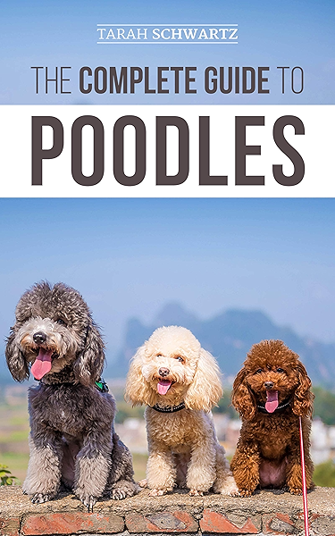 toy poodle and standard poodle
