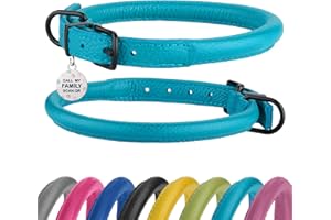 BRONZEDOG Rolled Leather Dog Collar Soft Round Collars, ID Tag for Small Medium Large Dogs (16-20 inch, Aqua Blue)