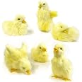 Pack Of 6 Realistic Plush Duck Figurines - Spring Easter Decor, Farm Animal Collectibles 7 thumbnail image