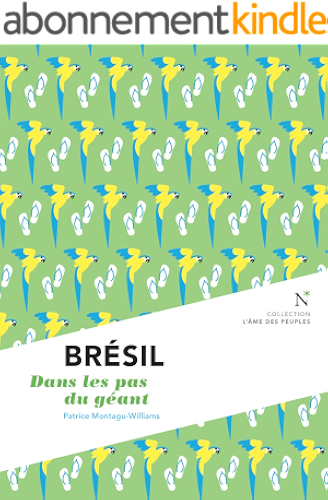 Download Brésil : Dans les pas du géant: L'Âme des peuples PDF