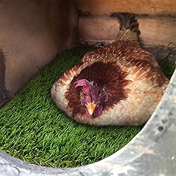 Rural365 Nesting Box Pads Artificial Turf Square