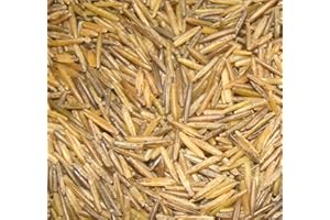 BINESHII GHOST WILD RICE, THE RAREST AND FINEST WILD RICE IN THE WORLD!