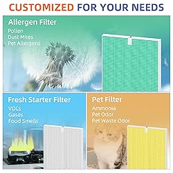 116130 HEPA Toxin Absorber Replacement Filter H for