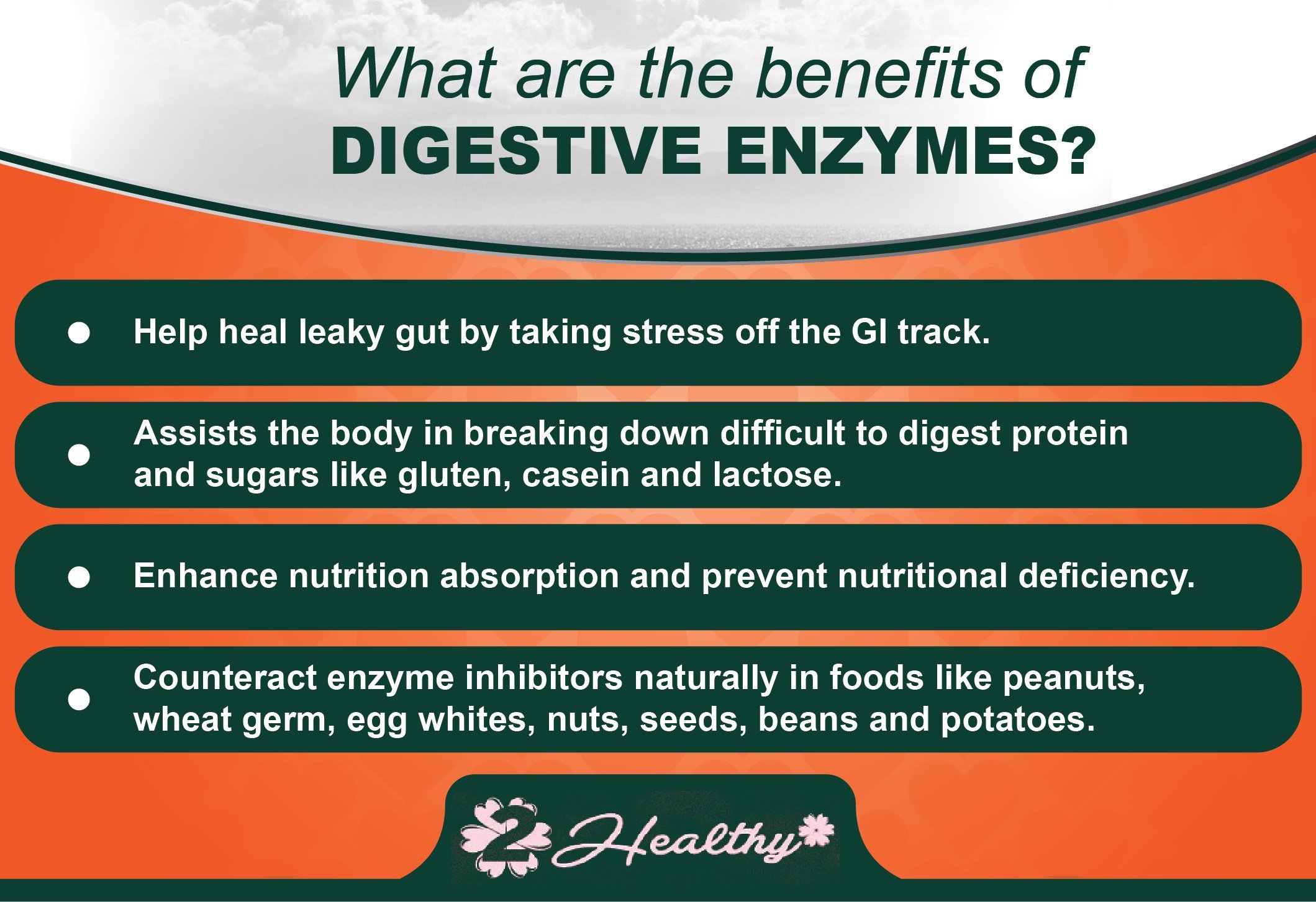 Premium Digestive Enzymes with Probiotics Pills Bromelain Supplement