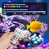 Raykce 5 Pack Mini Submersible LED Lights with Remote Colourful ABS Battery Tea view 2